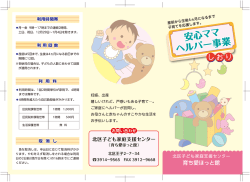 表面（PDF：354KB）