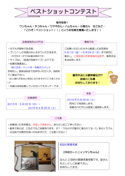 ベストショットコンテスト応募内容