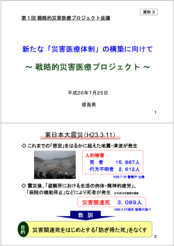 資料3（プロジェクト概要）.