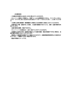 諸条件 - Pirelli