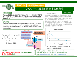 体に果糖を吸収しにくくする化合物