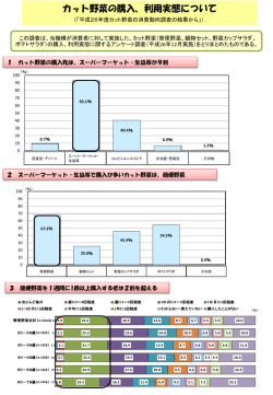 概要版