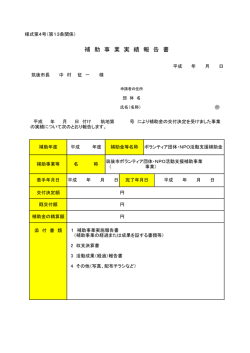 補 助 事 業 実 績 報 告 書