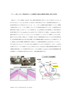 α7型ニコチン受容体を介した潰瘍性大腸炎治療薬の開発に関する研究