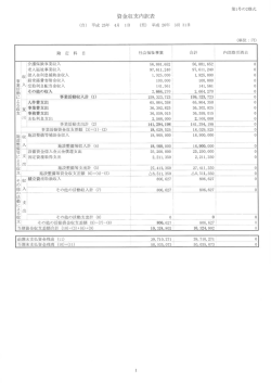 資金収支内訳表