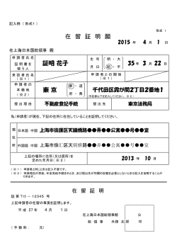 形式1 - 在上海日本国総領事館