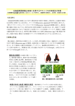 Document;pdf