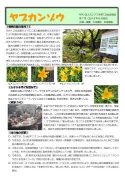ヤブカンゾウ;pdf