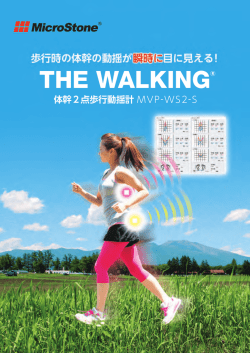 MVP-WS2-S - マイクロストーン;pdf