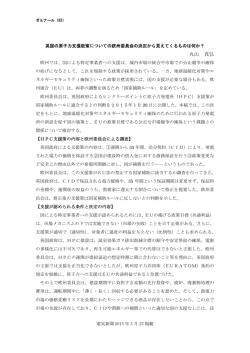 丸山 真弘 - 電力中央研究所;pdf