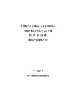 評価手順書 - 原子力発電環境整備機構;pdf