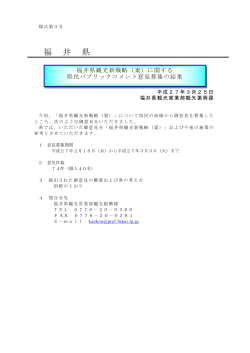 01意見募集結果（福井県観光新戦略）（PDF形式 403キロバイト）;pdf