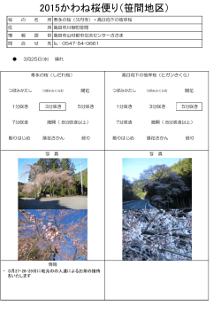 2015かわね桜便り（笹間地区）;pdf