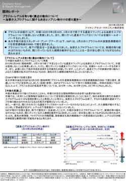 ブラジル・レアルを取り巻く最近の動向;pdf
