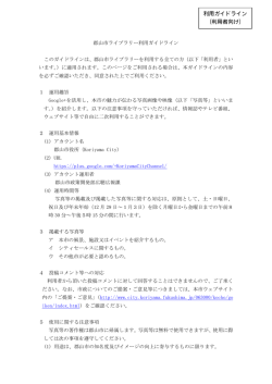 利用ガイドライン （利用者向け）;pdf