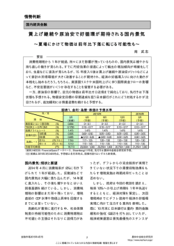 賃上げ継続や原油安で好循環が期待される国内景気;pdf