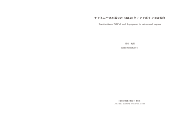 ラットエナメル器での NBCe1 とアクアポリン 1 の局在;pdf