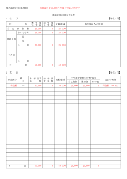 補助金収支予算書（記入例） [PDFファイル／75KB];pdf
