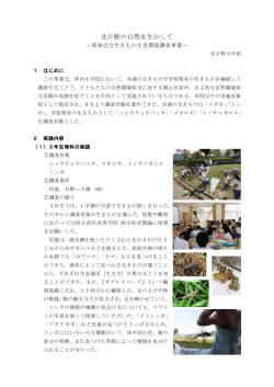 10北日野小学校（PDF形式：377KB）;pdf