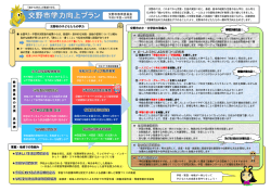 ポスター(833KBytes);pdf