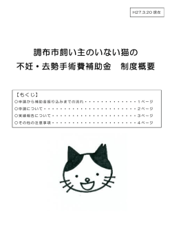 補助金制度の概要(PDF文書);pdf