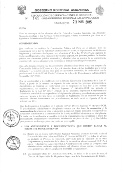 Gerencia General;pdf
