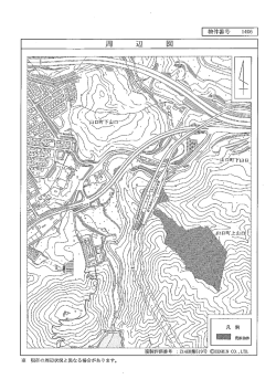 Document;pdf