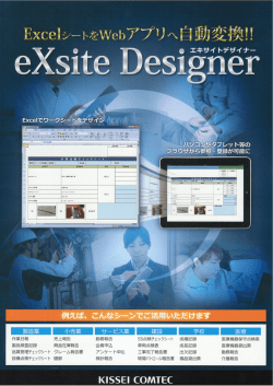 eXSite Designer;pdf