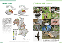 物種 ~現地調査の結果~;pdf