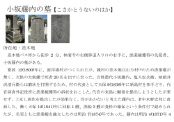 小坂藤内の墓【こさかとうないのはか】;pdf