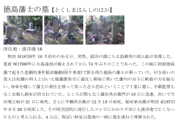 徳島藩士の墓【とくしまはんしのはか】;pdf