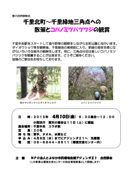 千里北町～千里緑地三角点への 散策とコバノミツバツツジの観賞;pdf