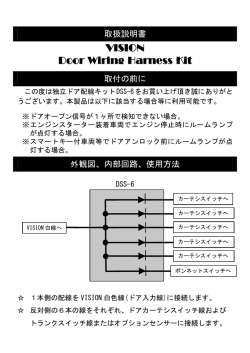 DSS-6 - VISION;pdf