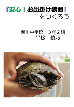Document;pdf