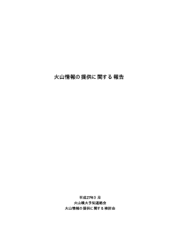 報告書[PDF形式:51KB];pdf