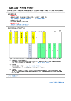 一般職試験（大卒程度試験）;pdf