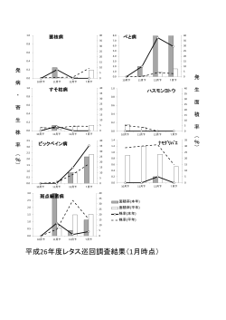 平成26年度レタス巡回調査結果（1月時点）;pdf
