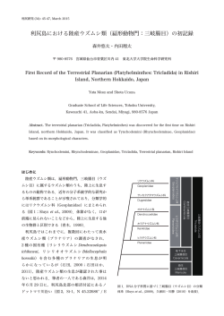 利尻島における陸産ウズムシ類（扁形動物門：三岐腸目）の初記録;pdf