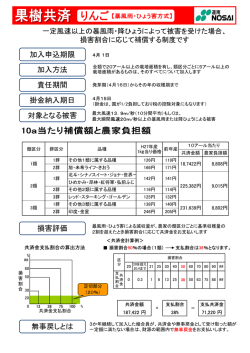 加入申込期限 加入方法 責任期間 掛金納入期日 対象となる被害 損害;pdf