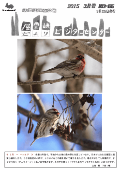 3月 ～ ベニヒワ ≫ 生態は冬鳥で;pdf