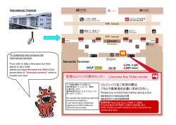 Domestic Terminal;pdf