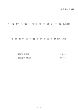 資料(PDF:211KB);pdf
