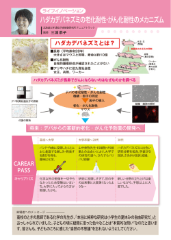 三浦恭子先生（北海道大学）;pdf