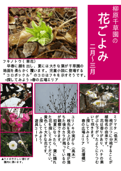花 ご よ み;pdf