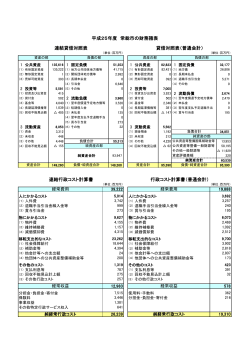 平成25年度 常総市の財務諸表（PDF：251KB）;pdf