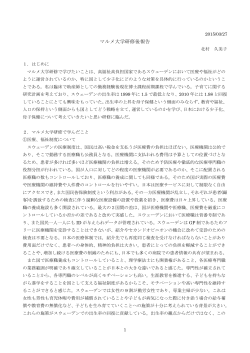 マルメ大学研修後報告;pdf