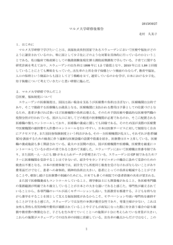 マルメ大学研修後報告;pdf