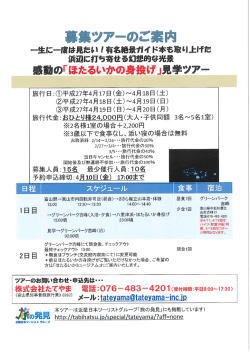 募集ツアーのご案内;pdf