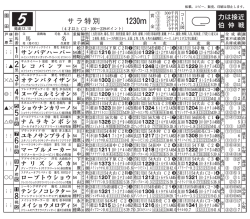 Document;pdf