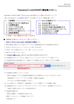 「kawasumi による EGOIST 最短導入フロー」;pdf